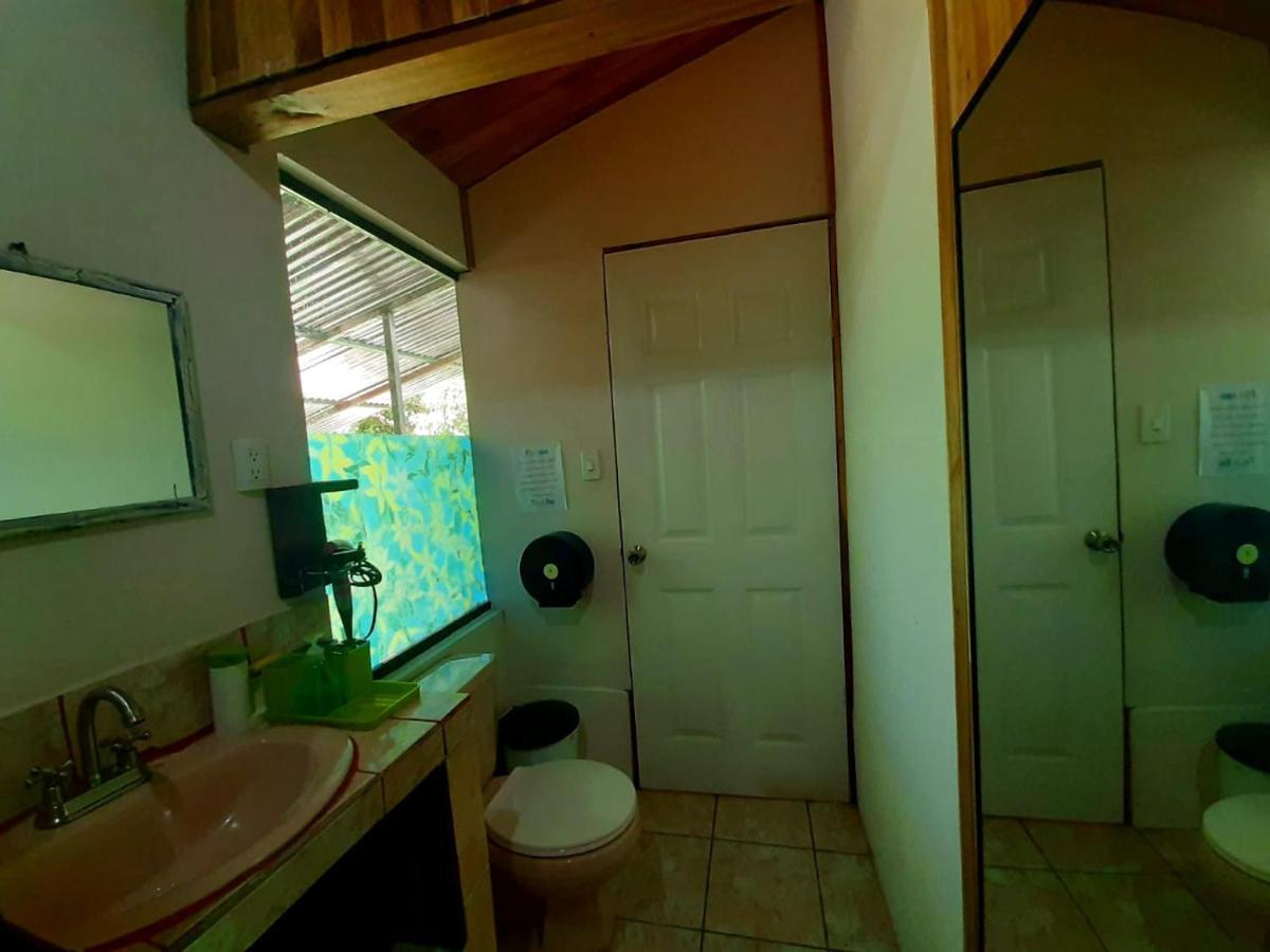 Monteverde Cecropia Paradise Ngoại thất bức ảnh