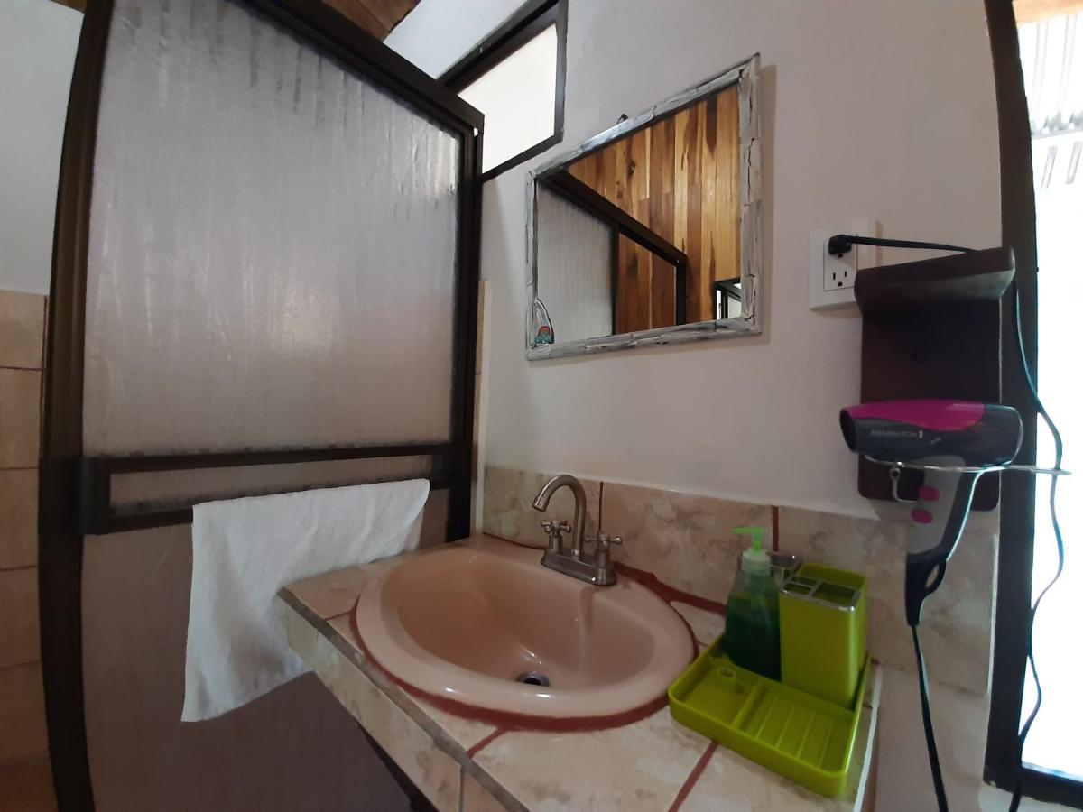 Monteverde Cecropia Paradise Ngoại thất bức ảnh