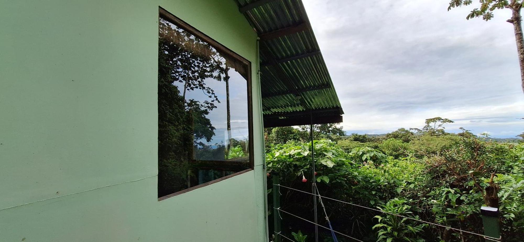 Monteverde Cecropia Paradise Phòng bức ảnh