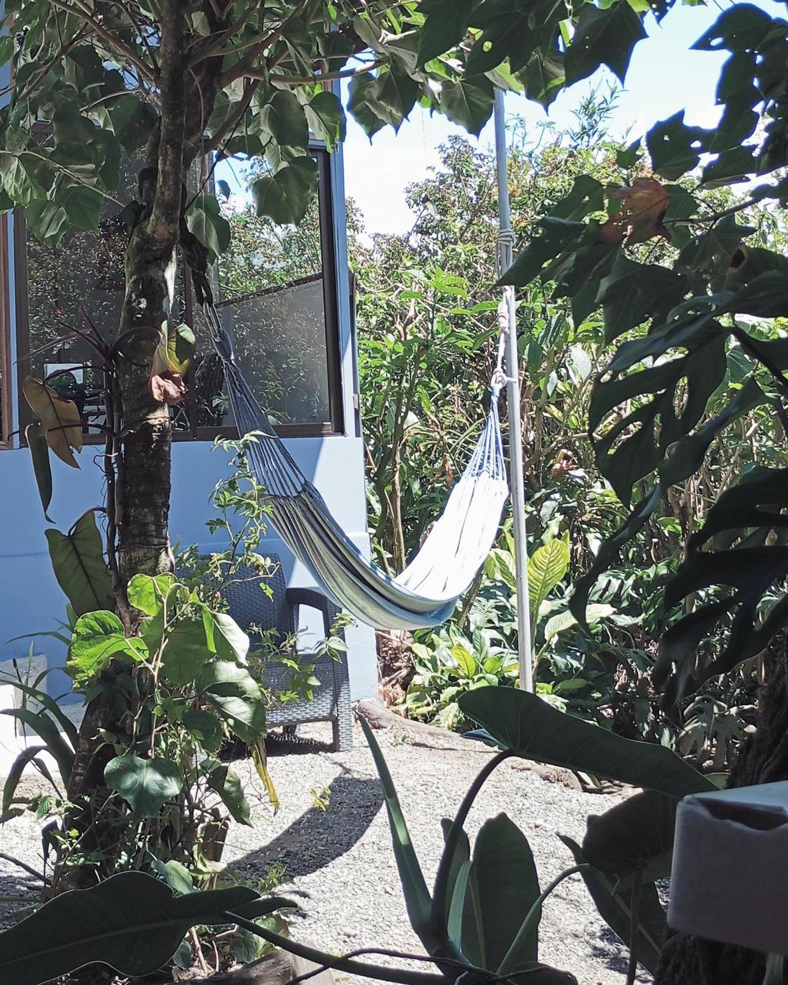 Monteverde Cecropia Paradise Phòng bức ảnh