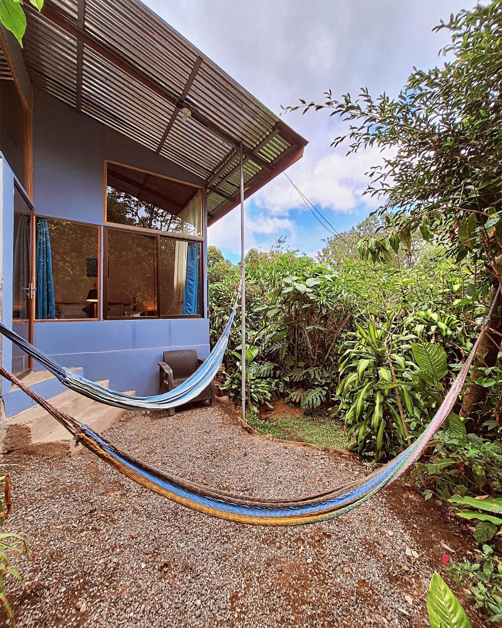 Monteverde Cecropia Paradise Phòng bức ảnh