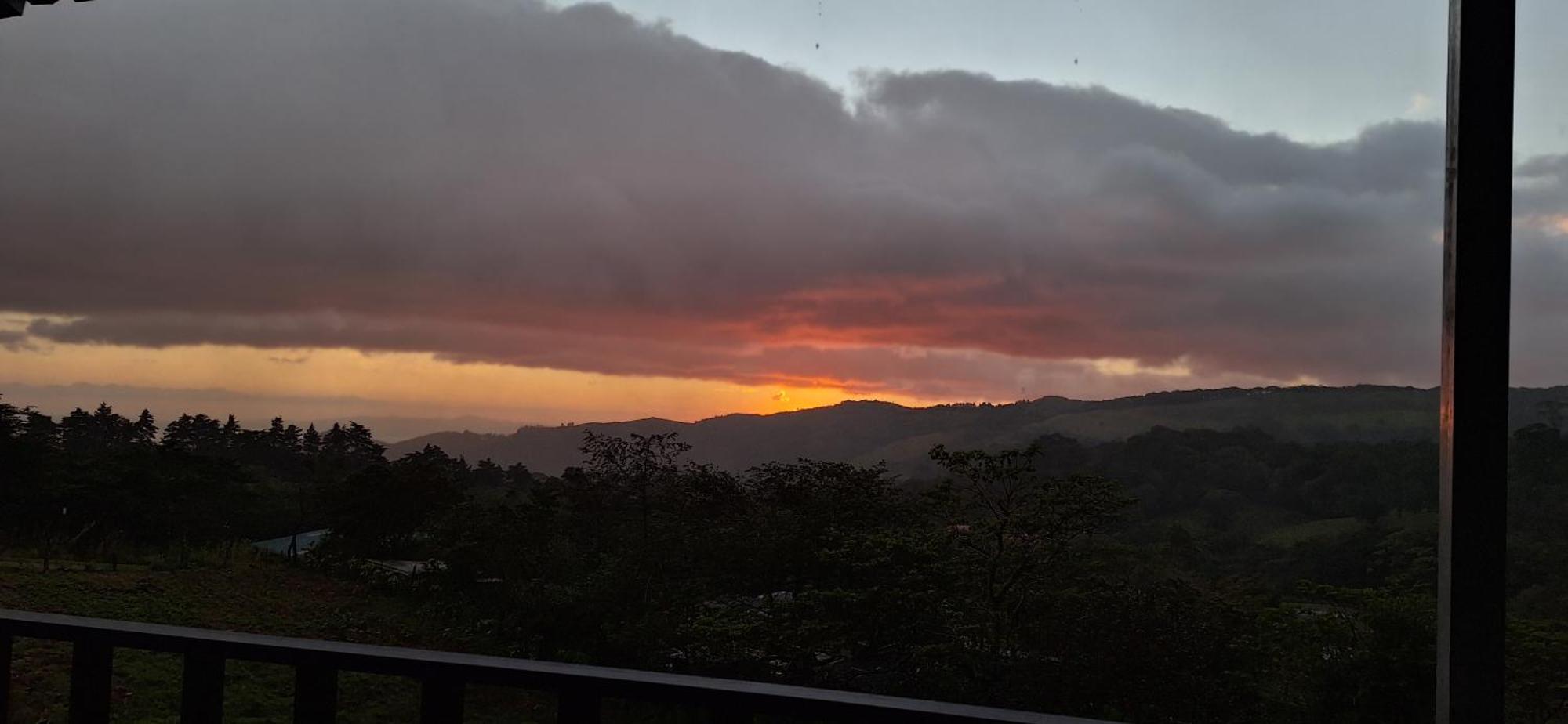 Monteverde Cecropia Paradise Phòng bức ảnh