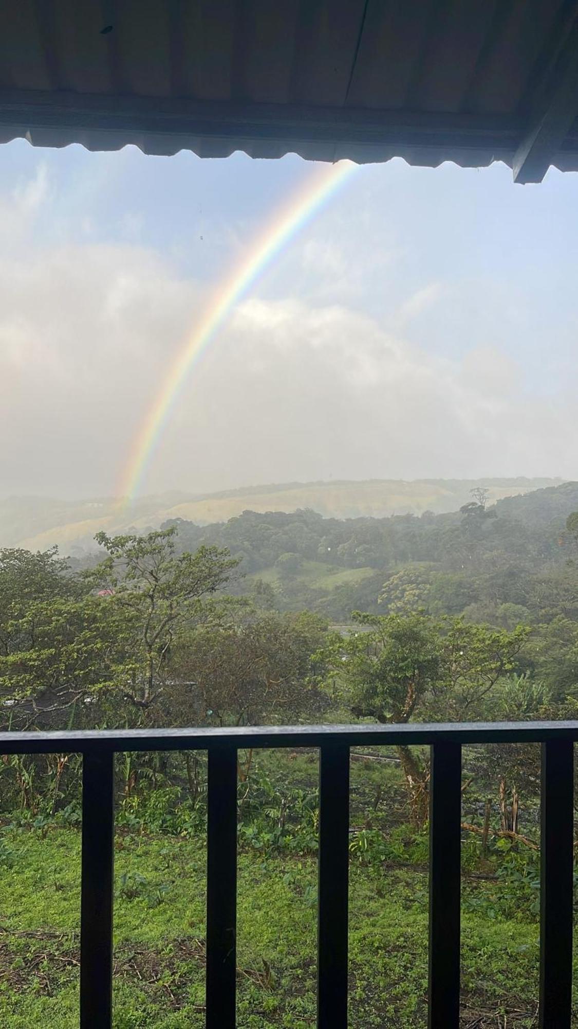 Monteverde Cecropia Paradise Phòng bức ảnh