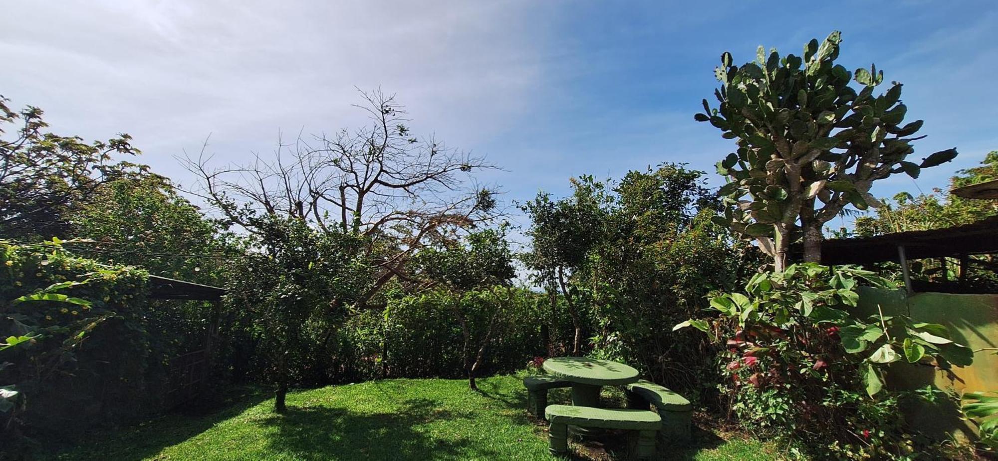 Monteverde Cecropia Paradise Phòng bức ảnh